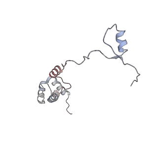 5592_4v6x_AR_v1-5
Structure of the human 80S ribosome