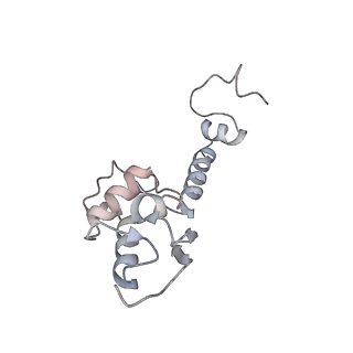 5592_4v6x_AS_v1-5
Structure of the human 80S ribosome
