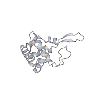 5592_4v6x_AT_v1-5
Structure of the human 80S ribosome