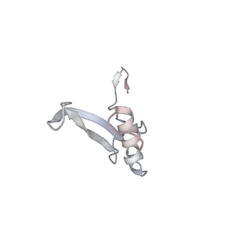 5592_4v6x_AV_v1-5
Structure of the human 80S ribosome