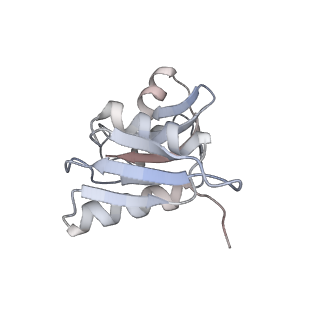5592_4v6x_AW_v1-5
Structure of the human 80S ribosome