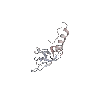 5592_4v6x_AX_v1-5
Structure of the human 80S ribosome
