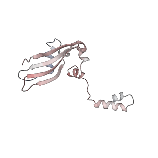5592_4v6x_AY_v1-5
Structure of the human 80S ribosome