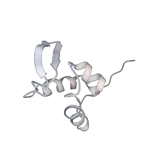 5592_4v6x_AZ_v1-5
Structure of the human 80S ribosome