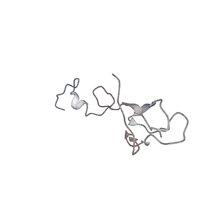 5592_4v6x_Ab_v1-5
Structure of the human 80S ribosome