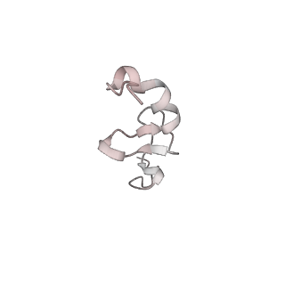 5592_4v6x_Ad_v1-5
Structure of the human 80S ribosome