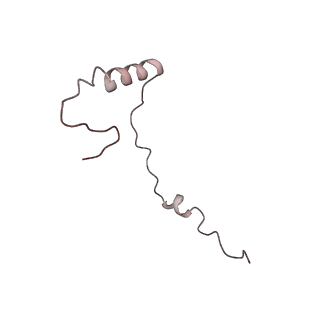 5592_4v6x_Ae_v1-5
Structure of the human 80S ribosome