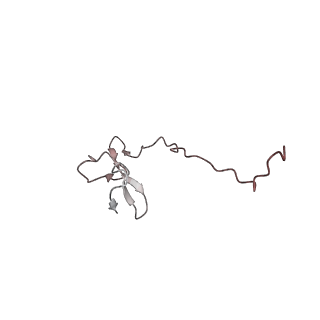 5592_4v6x_Af_v1-5
Structure of the human 80S ribosome