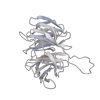 5592_4v6x_Ag_v1-5
Structure of the human 80S ribosome