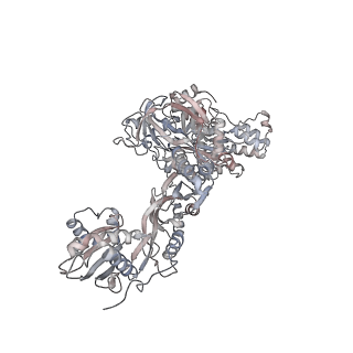 5592_4v6x_Az_v1-5
Structure of the human 80S ribosome