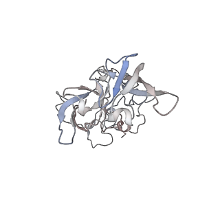 5592_4v6x_CA_v1-5
Structure of the human 80S ribosome