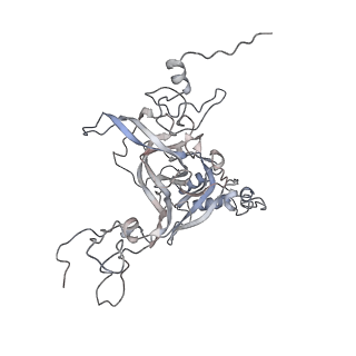 5592_4v6x_CB_v1-5
Structure of the human 80S ribosome