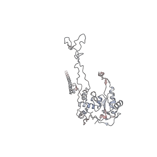 5592_4v6x_CC_v1-5
Structure of the human 80S ribosome