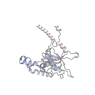 5592_4v6x_CD_v1-5
Structure of the human 80S ribosome