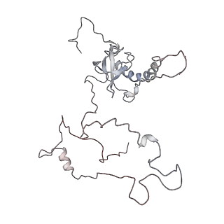 5592_4v6x_CE_v1-5
Structure of the human 80S ribosome
