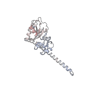 5592_4v6x_CF_v1-5
Structure of the human 80S ribosome