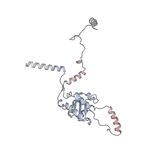 5592_4v6x_CG_v1-5
Structure of the human 80S ribosome