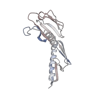 5592_4v6x_CH_v1-5
Structure of the human 80S ribosome
