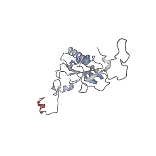 5592_4v6x_CI_v1-5
Structure of the human 80S ribosome