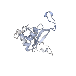 5592_4v6x_CJ_v1-5
Structure of the human 80S ribosome