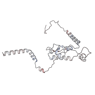 5592_4v6x_CL_v1-5
Structure of the human 80S ribosome