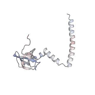5592_4v6x_CM_v1-5
Structure of the human 80S ribosome