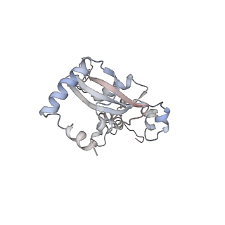 5592_4v6x_CN_v1-5
Structure of the human 80S ribosome