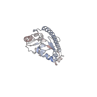 5592_4v6x_CO_v1-5
Structure of the human 80S ribosome