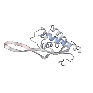 5592_4v6x_CP_v1-5
Structure of the human 80S ribosome