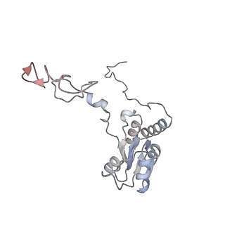 5592_4v6x_CQ_v1-5
Structure of the human 80S ribosome