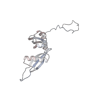 5592_4v6x_CS_v1-5
Structure of the human 80S ribosome