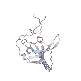 5592_4v6x_CT_v1-5
Structure of the human 80S ribosome