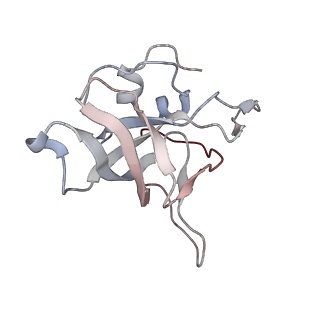 5592_4v6x_CV_v1-5
Structure of the human 80S ribosome