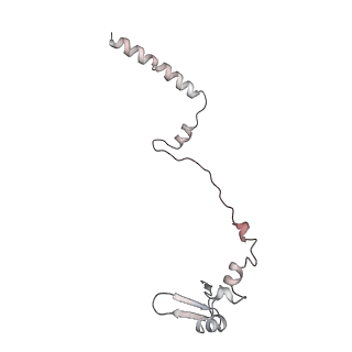 5592_4v6x_CW_v1-5
Structure of the human 80S ribosome