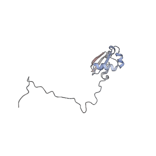 5592_4v6x_CX_v1-5
Structure of the human 80S ribosome