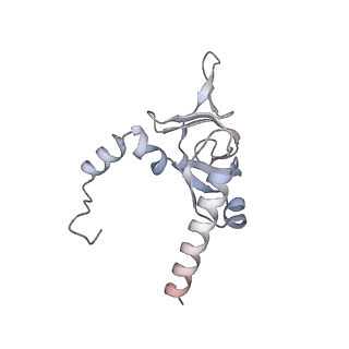 5592_4v6x_CY_v1-5
Structure of the human 80S ribosome