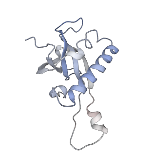 5592_4v6x_CZ_v1-5
Structure of the human 80S ribosome