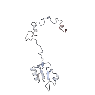 5592_4v6x_Ca_v1-5
Structure of the human 80S ribosome