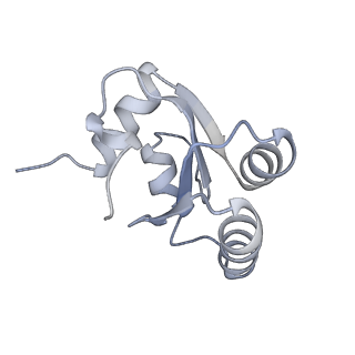 5592_4v6x_Cc_v1-5
Structure of the human 80S ribosome