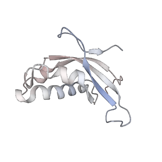5592_4v6x_Cd_v1-5
Structure of the human 80S ribosome