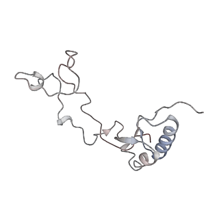 5592_4v6x_Ce_v1-5
Structure of the human 80S ribosome