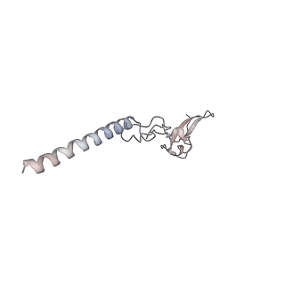 5592_4v6x_Cg_v1-5
Structure of the human 80S ribosome