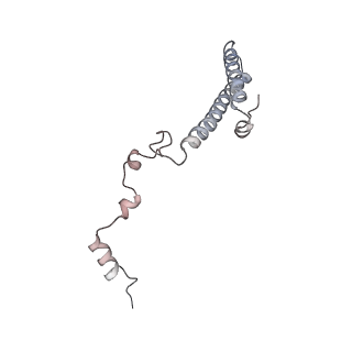 5592_4v6x_Ch_v1-5
Structure of the human 80S ribosome
