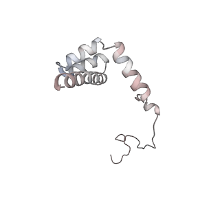 5592_4v6x_Ci_v1-5
Structure of the human 80S ribosome