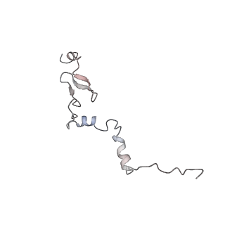 5592_4v6x_Cj_v1-5
Structure of the human 80S ribosome