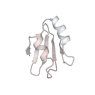 5592_4v6x_Ck_v1-5
Structure of the human 80S ribosome