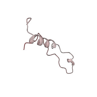 5592_4v6x_Cl_v1-5
Structure of the human 80S ribosome