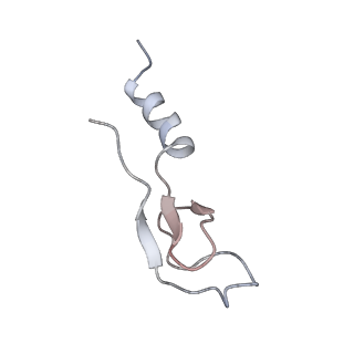 5592_4v6x_Cm_v1-5
Structure of the human 80S ribosome