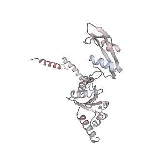 5592_4v6x_Cq_v1-5
Structure of the human 80S ribosome
