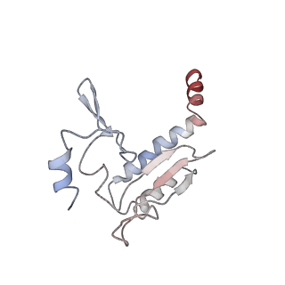 5592_4v6x_Cr_v1-5
Structure of the human 80S ribosome